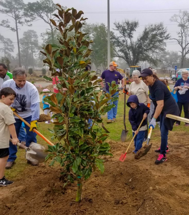 Grow Albany Trees in Tift Park